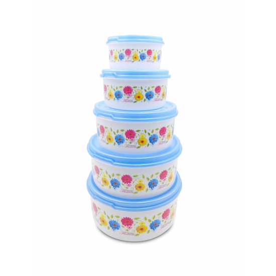 Beezy Container 5 pcs Set - 250 ml, 500 ml, 1000 ml, 1800 ml, 2500 ml Plastic Grocery Container  (Pack of 5, Blue)