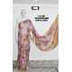 Pure Linen by Linen Digital Print Saree with Running Blouse Piece